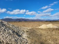 Succession areas with sandy overflows