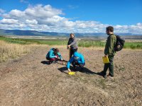 Installation of traps for catching stinging insects