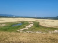 Přechod zemědělské rekultivace a sukcesních ploch