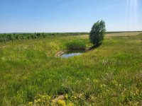 Jezírko na rekultivacích