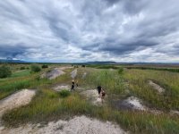 Spontánně zarůstající plochy výsypky