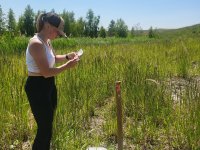 Kontrola umístění odchytových pastí